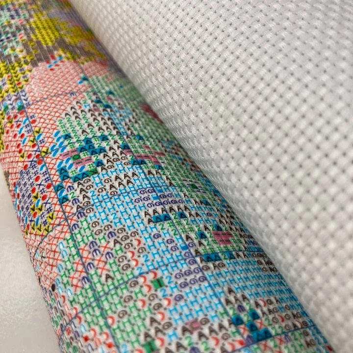 [CC318-Gato limón] |   Kit de  - Cross Stitch Stamped Kits Beginners reseña y precio